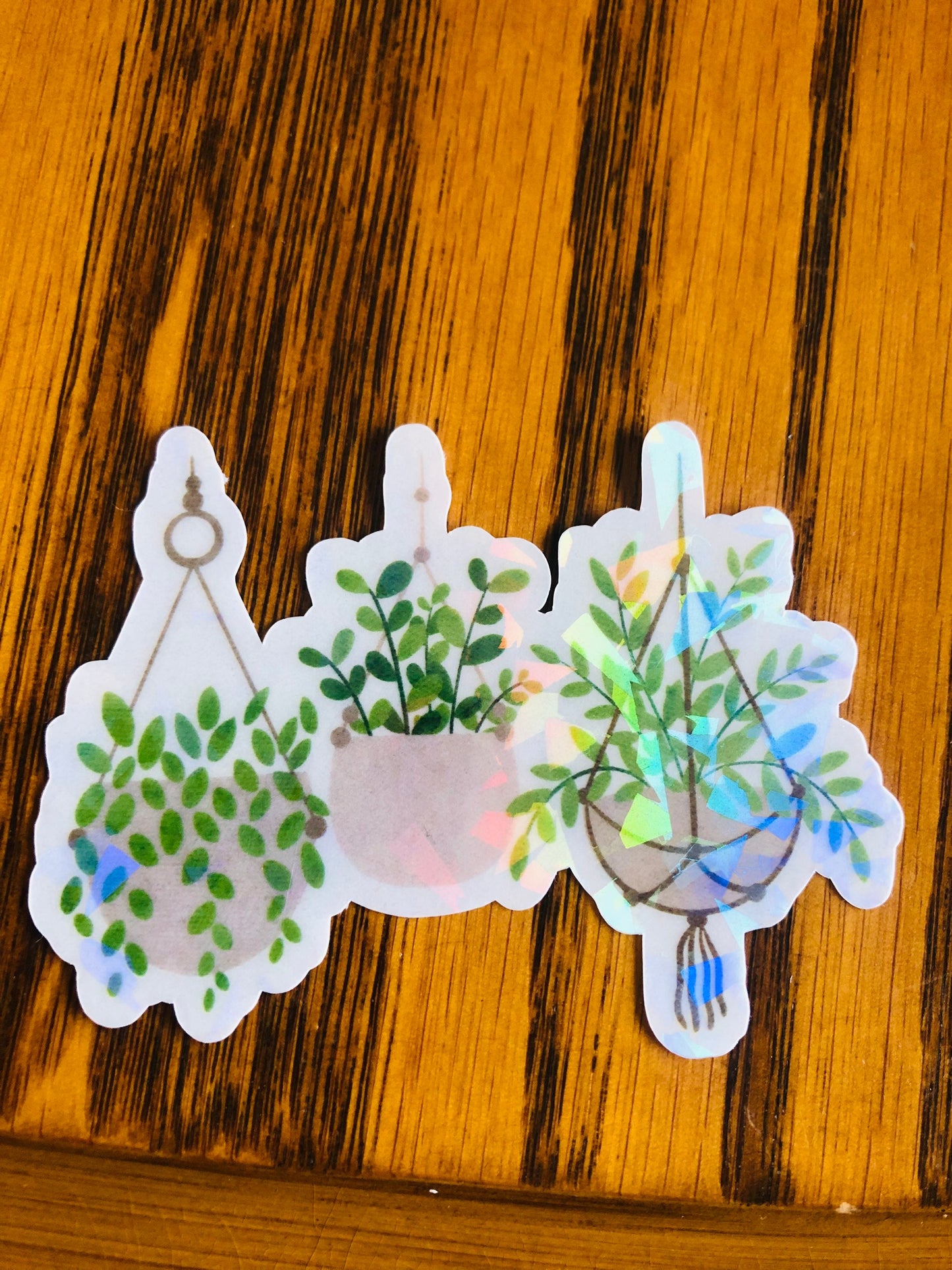Holographic plants sticker, Die cut sticker, rainbow sticker, gift for plants lover, tropical plants sticker, rainbow sticker