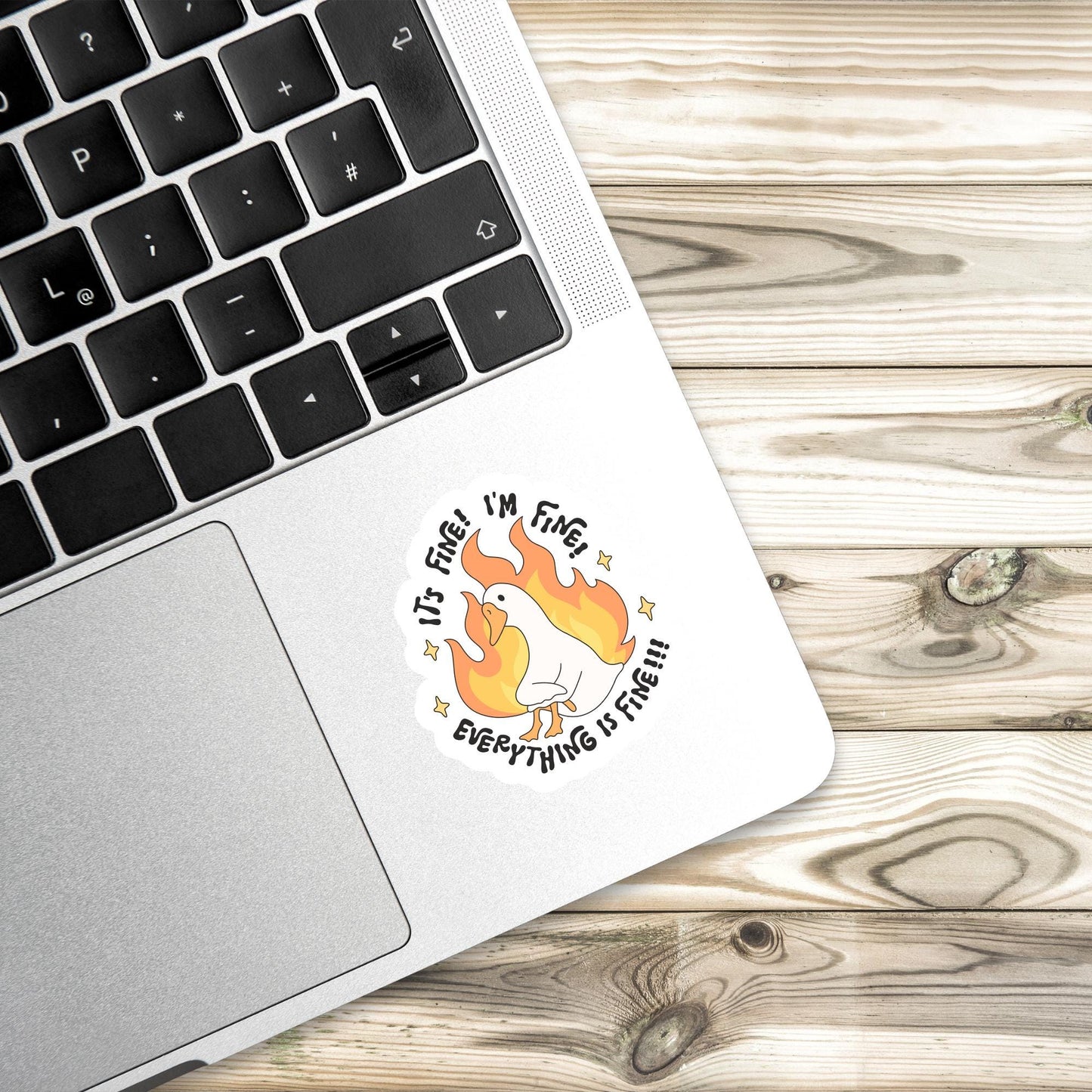 Silly Goose Vinyl Sticker Set: Laptop, Water Bottle Decals