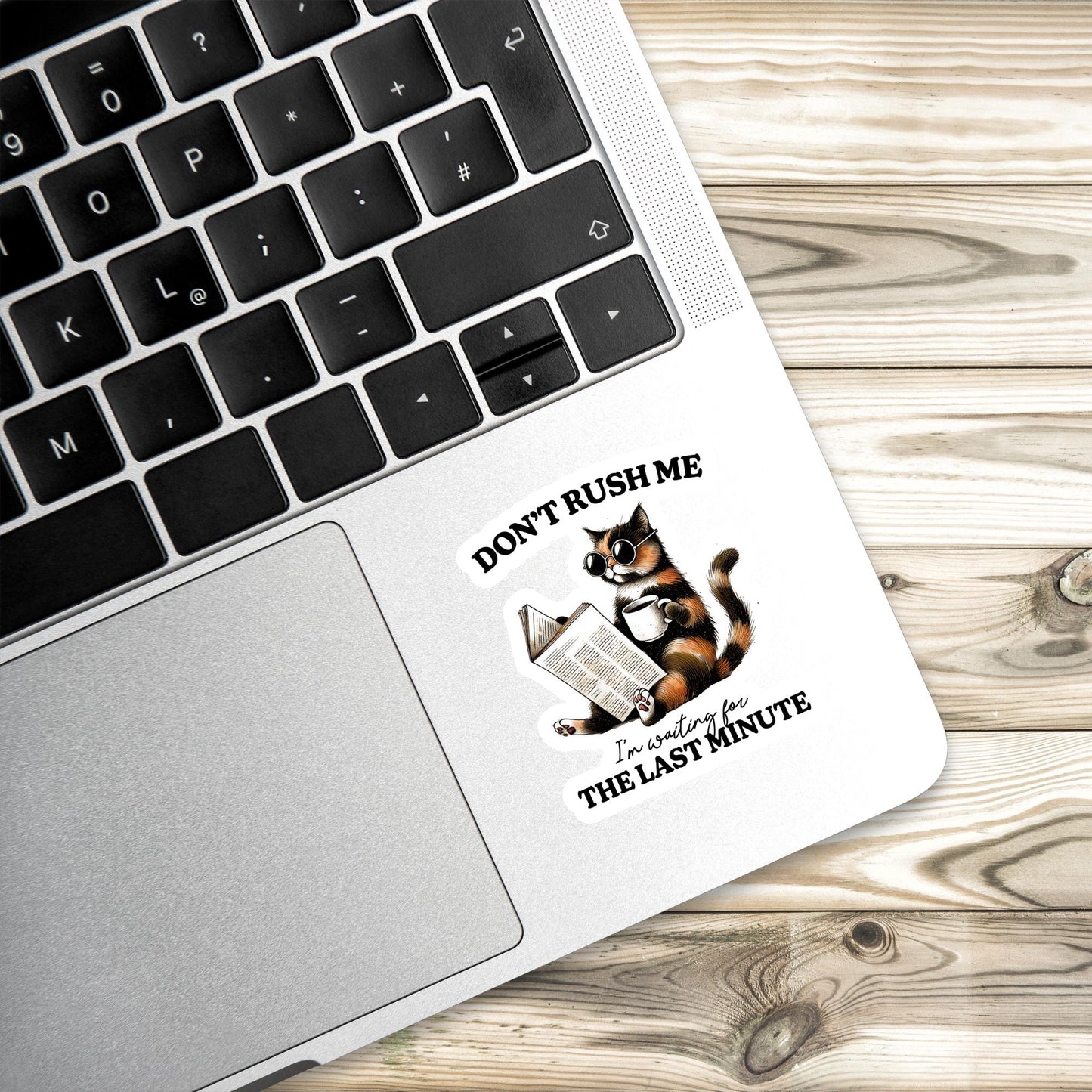 Don't Rush Me Cat Sticker: Funny Procrastinator Vinyl Decal