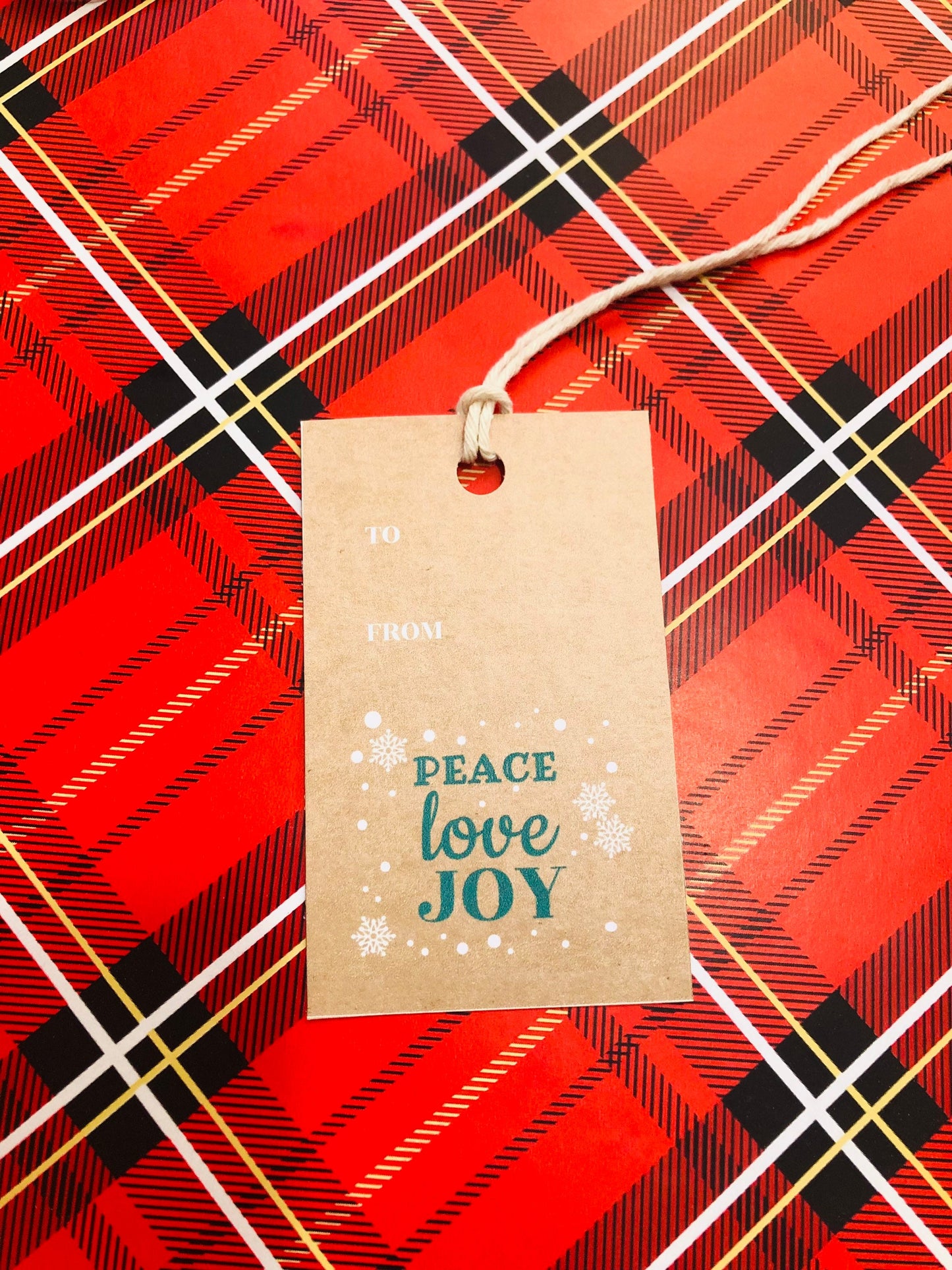 Set of 12 Kraft Christmas gift tags, holidays gift tags, Brown gift tags, pretty gift packaging, cute gift packaging