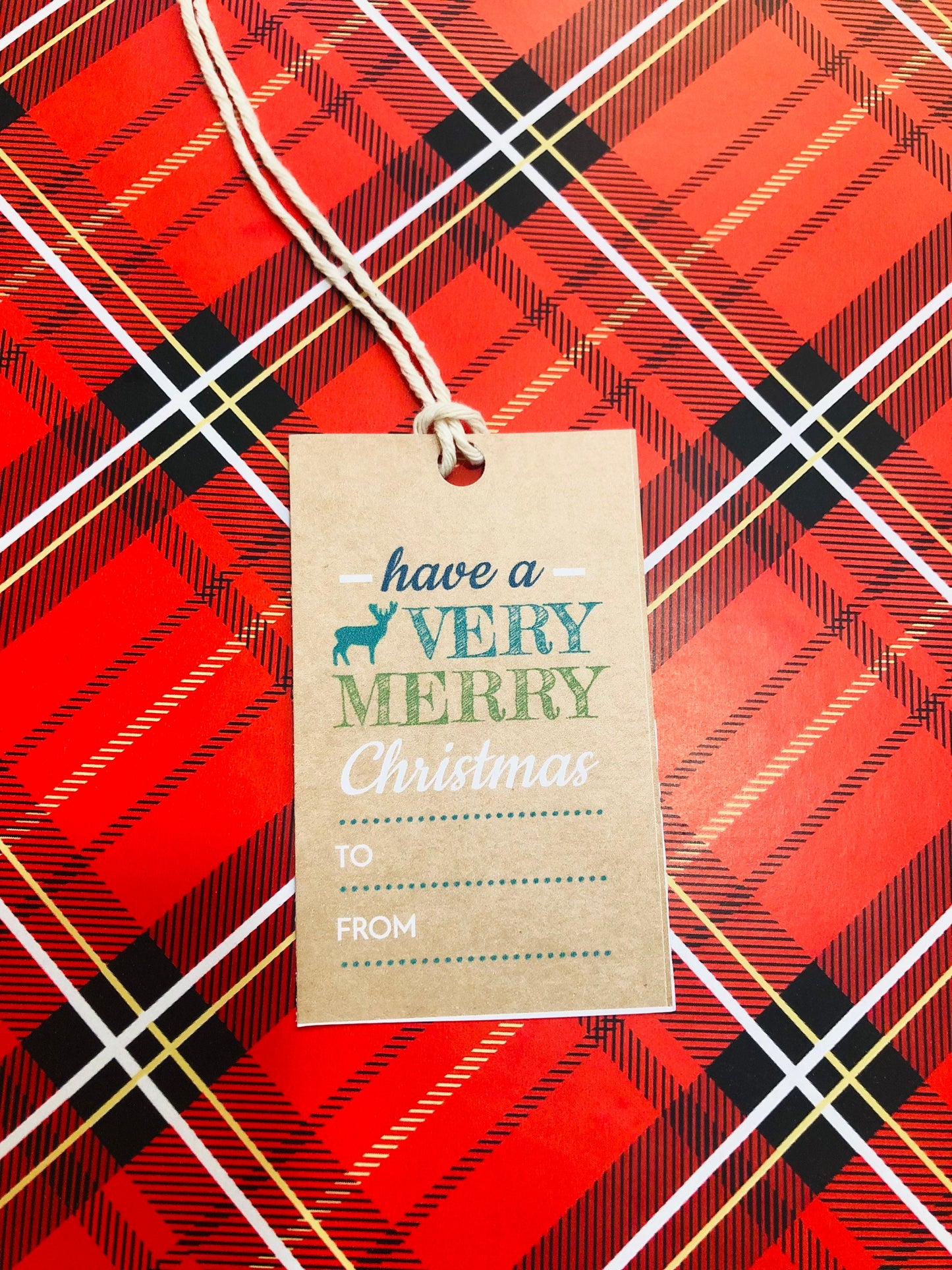 Set of 12 Kraft Christmas gift tags, holidays gift tags, Brown gift tags, pretty gift packaging, cute gift packaging