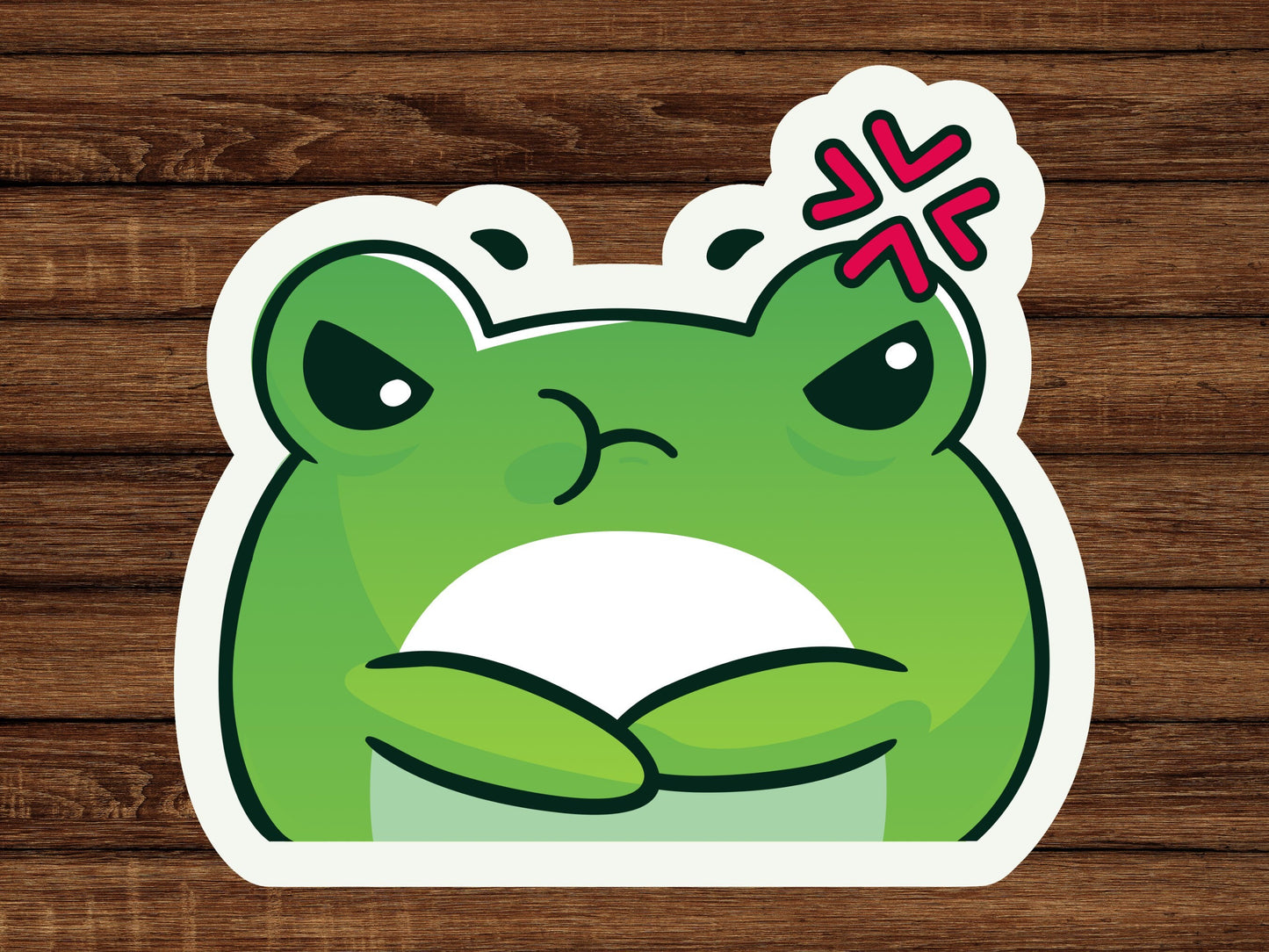 Set of 6 Frog stickers, gift for kids, sticker set, glossy stickers, laptop sticker, hydroflask sticker, journal stickers, froggie sticker