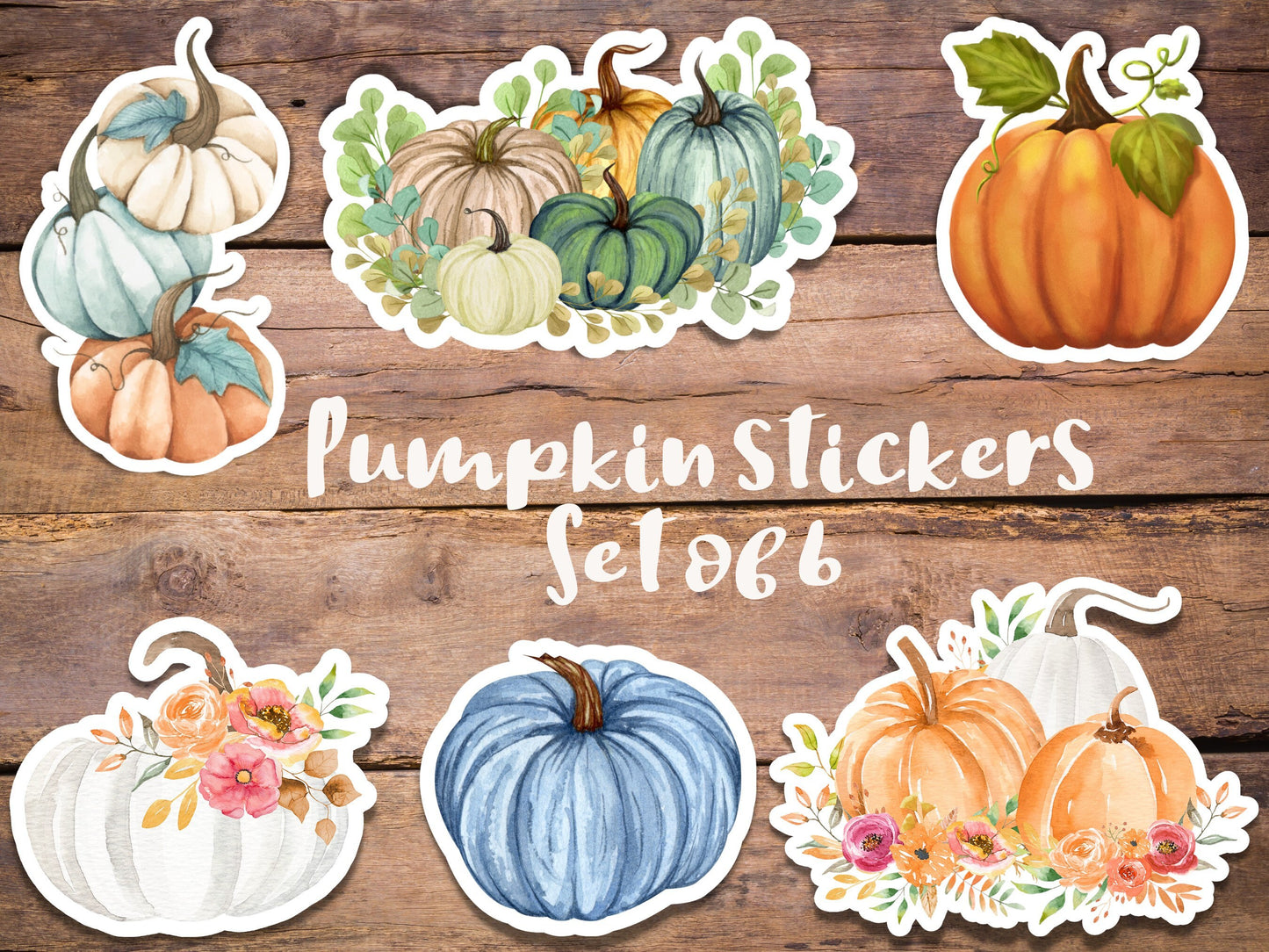 Pumpkin sticker- set of 6, fall stickers sheet, diecut sticker, weatherproof sticker, laptop sticker, waterbottle sticker, halloween gift