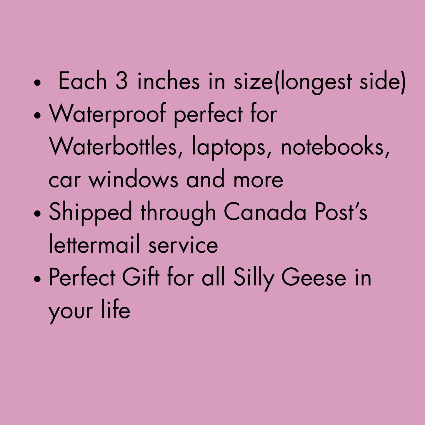 Silly Goose Vinyl Sticker Set: Laptop, Water Bottle Decals