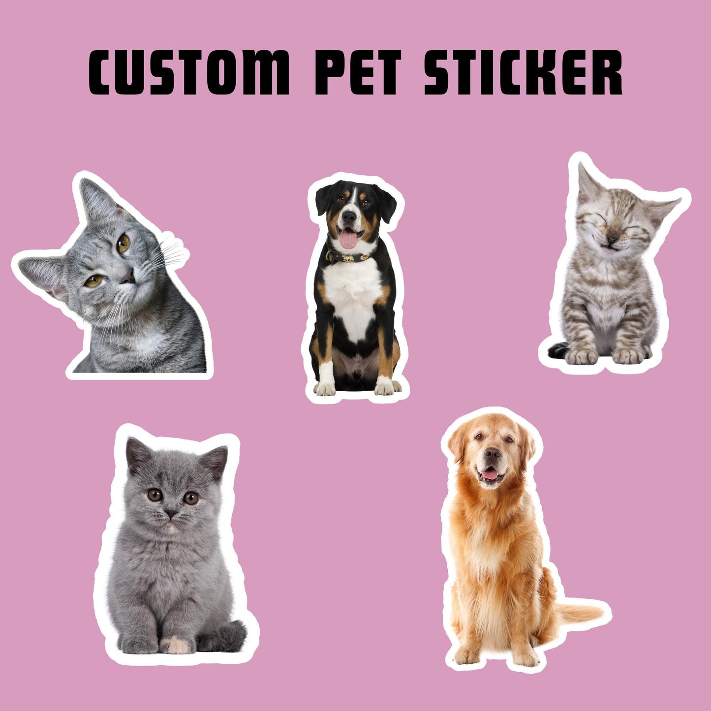 Custom Pet Photo Sticker: 3" Die Cut Vinyl, Weatherproof