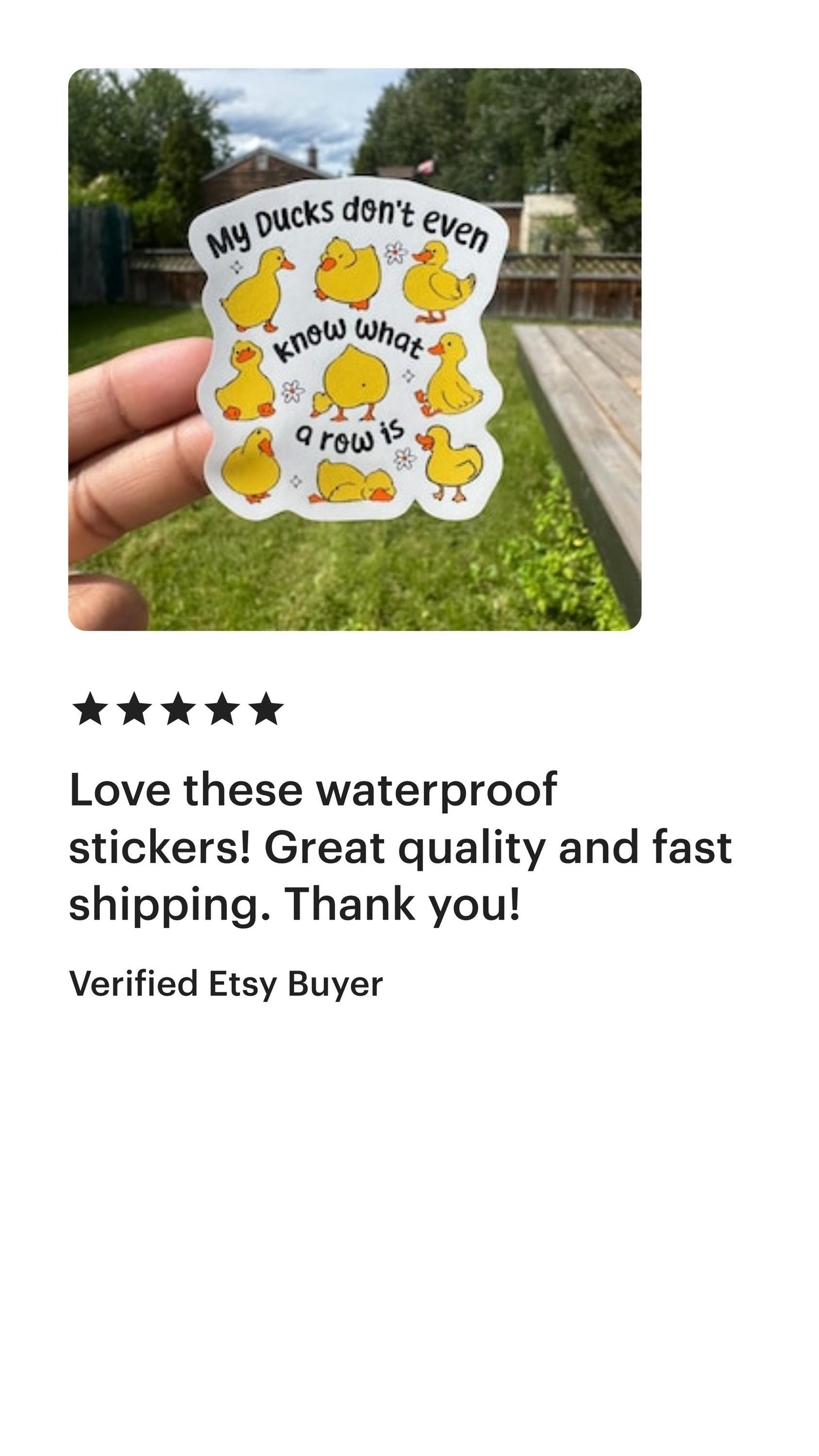 Funny Duck Sticker | Cute funny ducks | Snarky Vinyl Sticker | Kindle sticker | Waterbottle sticker | Laptop sticker  Journal sticker
